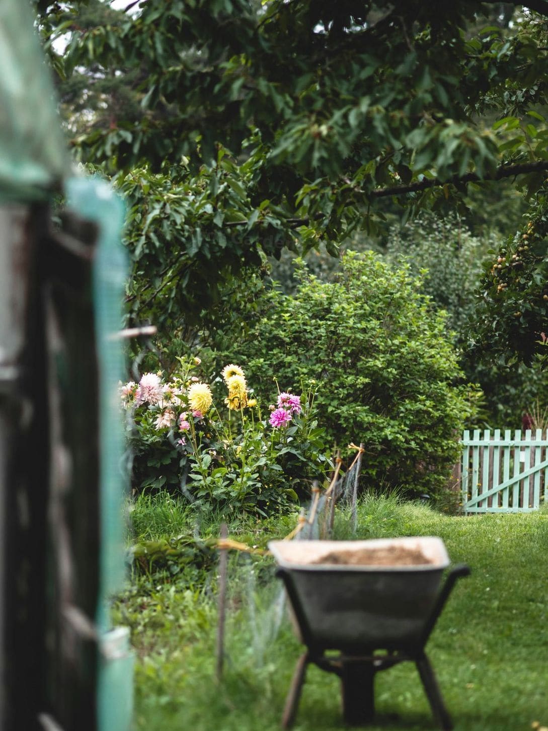 Planning a Small Backyard Refresh