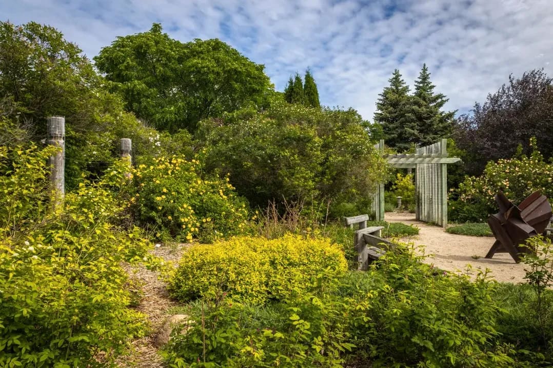 Mulching and soil improvement